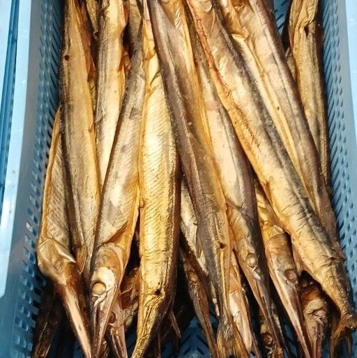 Сарган х/к (Рибна мрія)