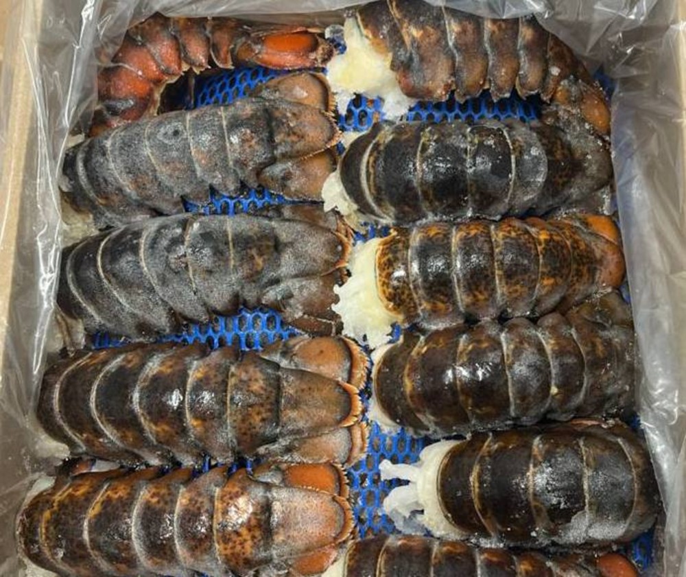 Лобстер ХВОСТИ морожений