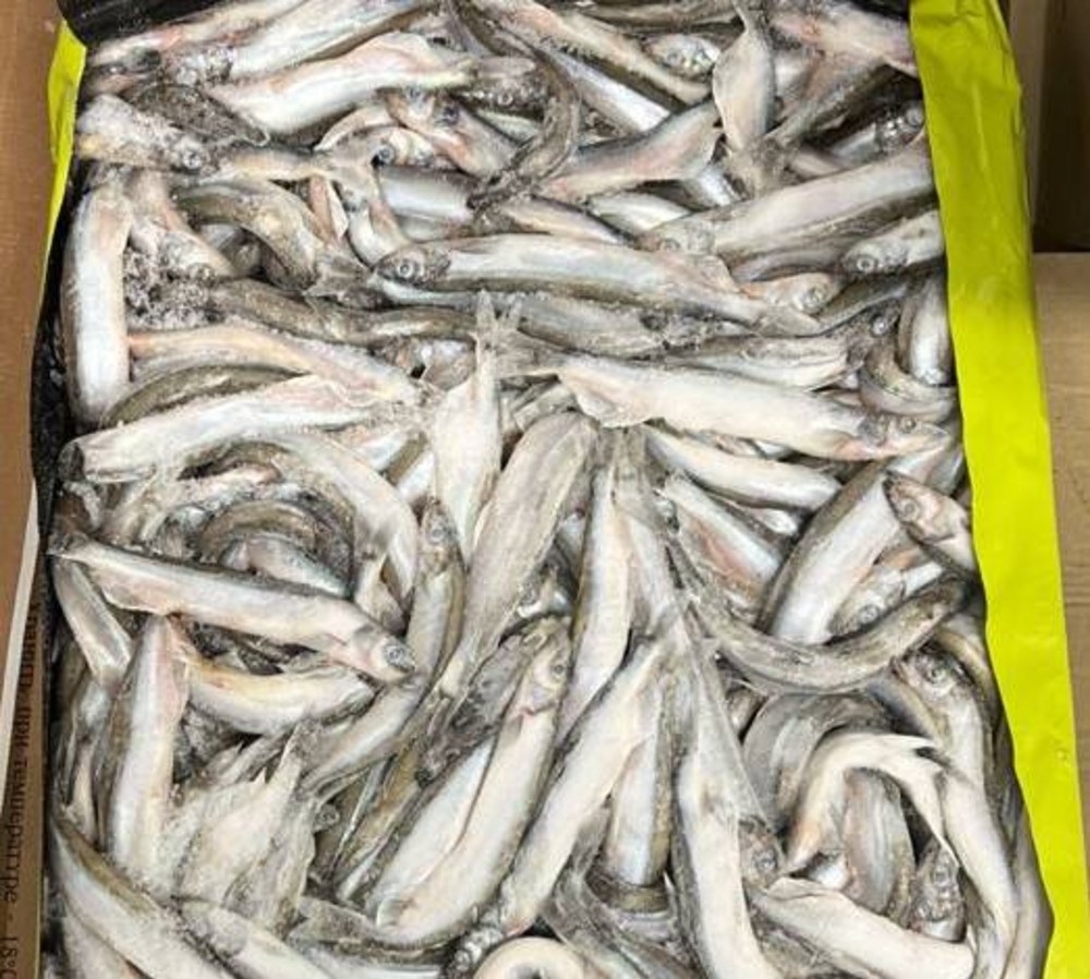 Мойва 25-35 Канада, Тільки ящик (морожена)