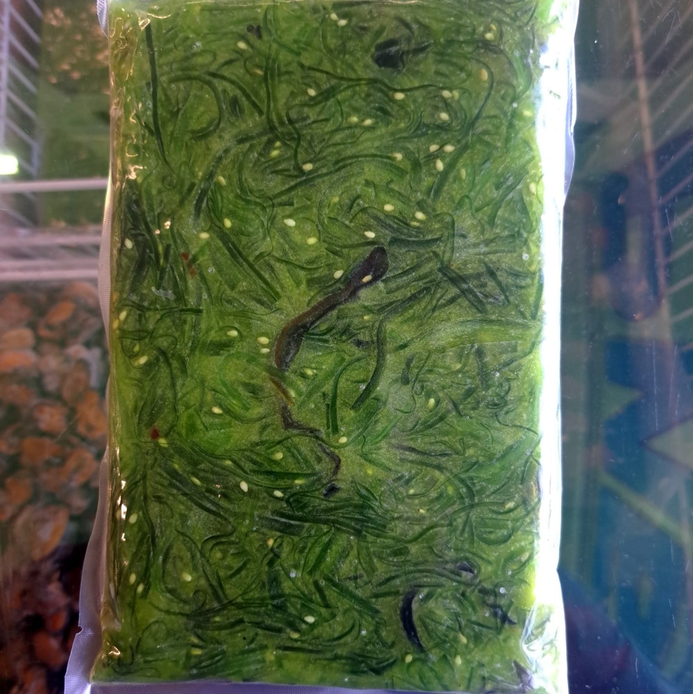 Салат вакаме морожений, 0.5кг