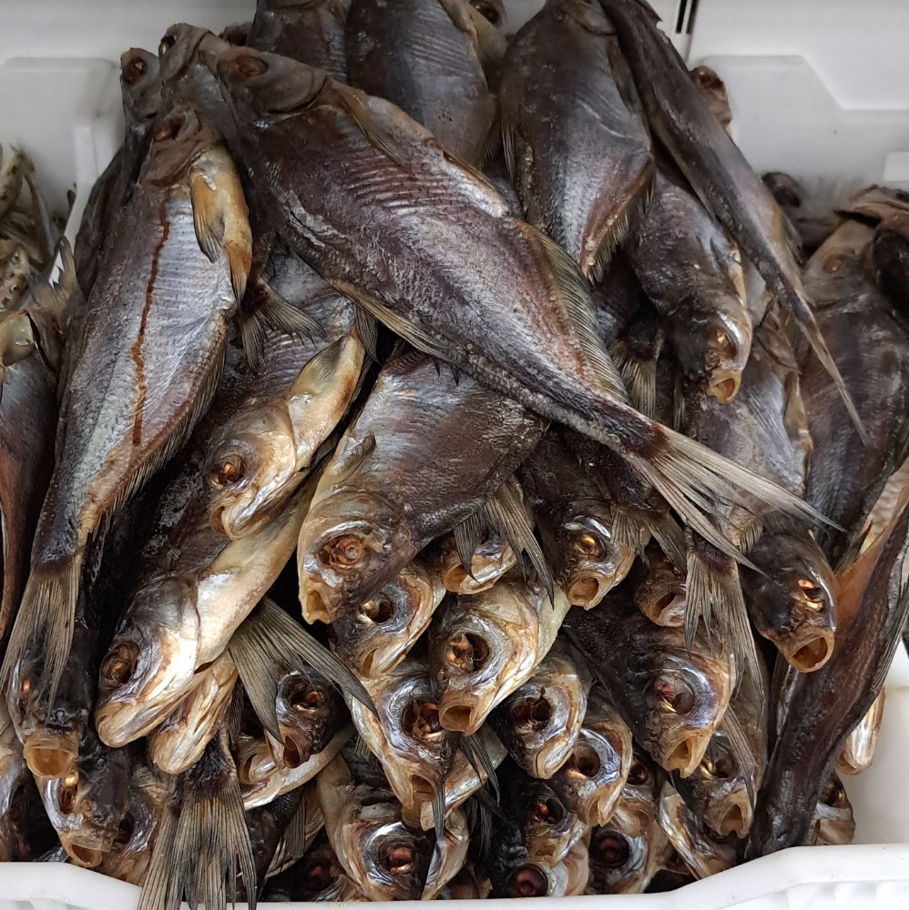 Синець в'ялений ( Fishmonder, Гольфстрім, Женя, Стас)
