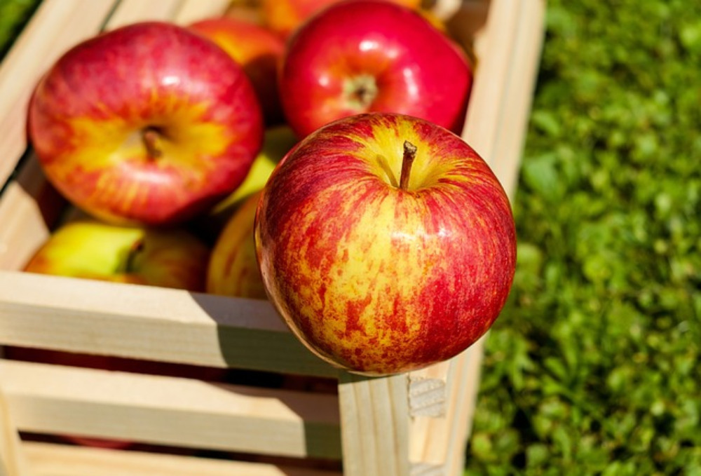 Apple 40gr