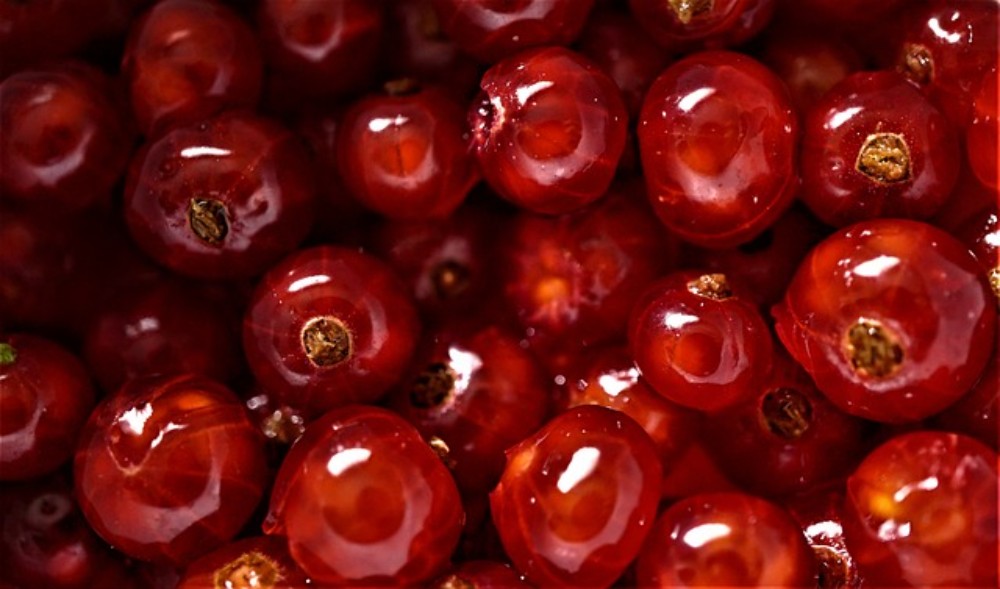 Black currant spritz