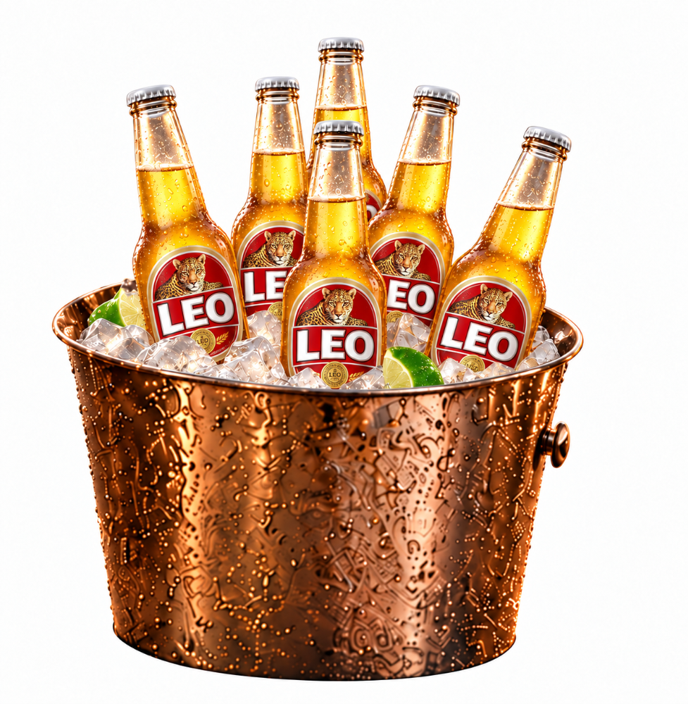 Leo Bucket