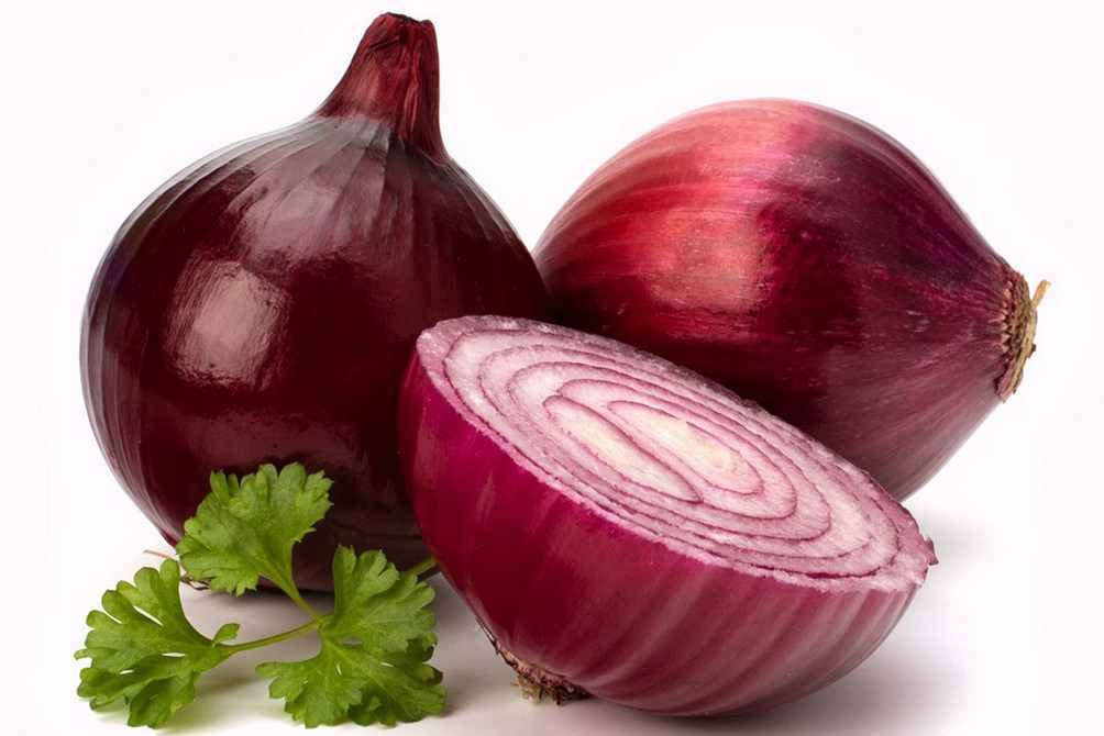 Цибуля