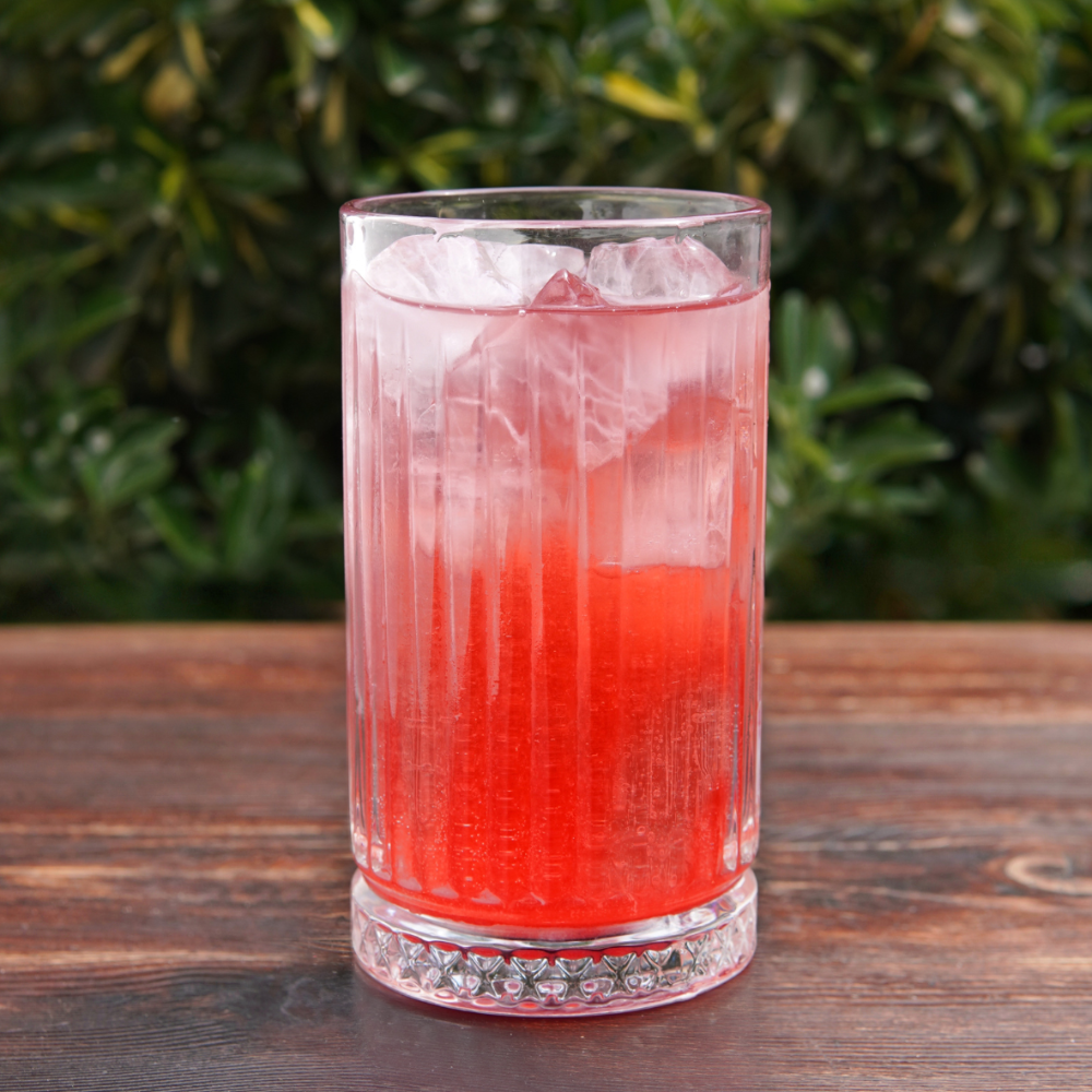 Gin & Tonic Raspberry GIFT