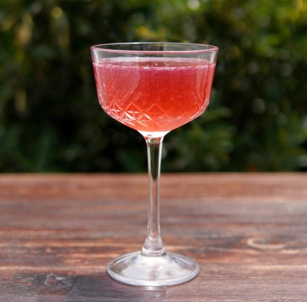 Mary Jos Raspberry Dream