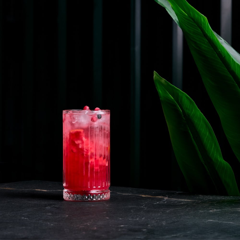 კენკრის ლიმონათი / Berry Lemonade