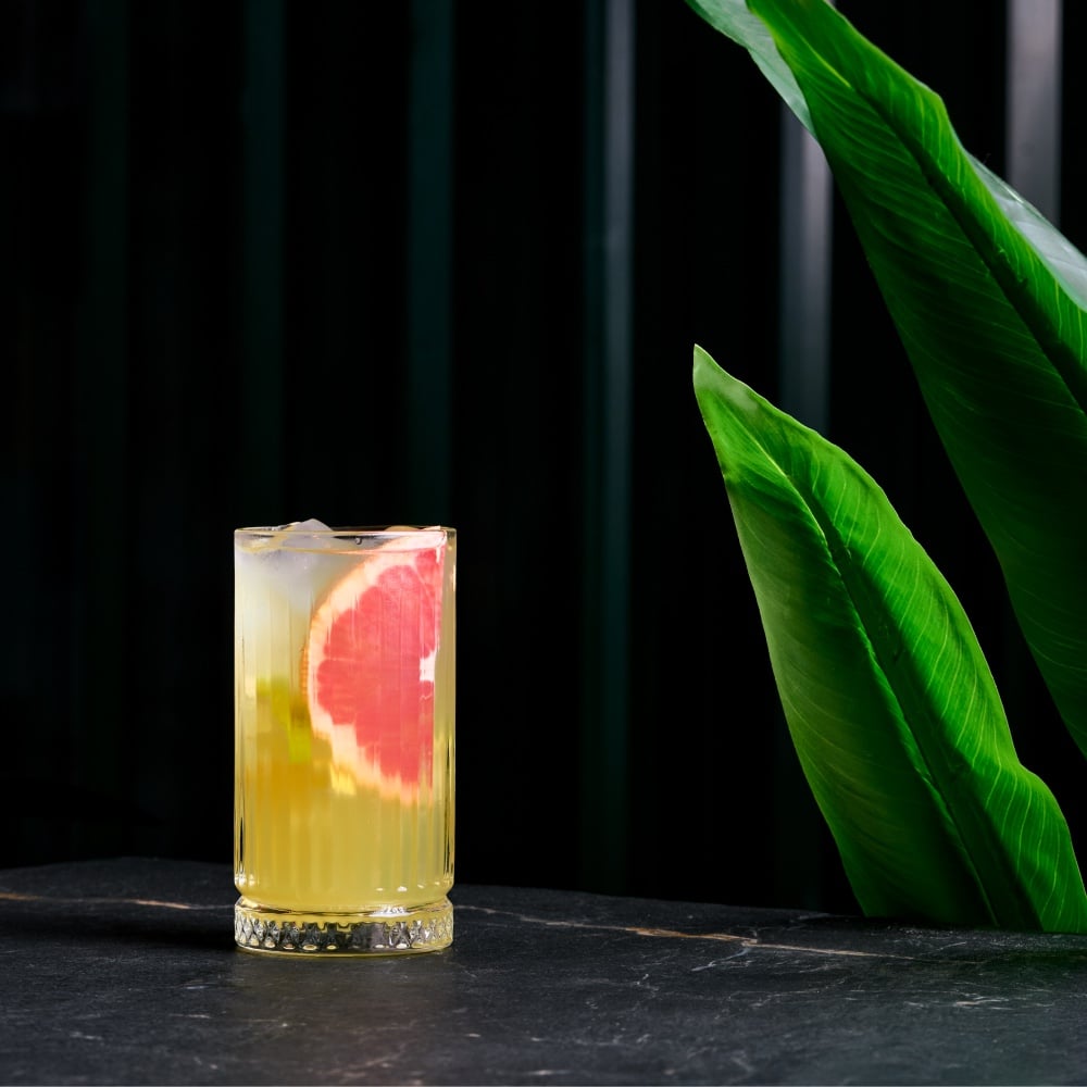 ციტრუსის ლიმონათი / Citrus lemonade