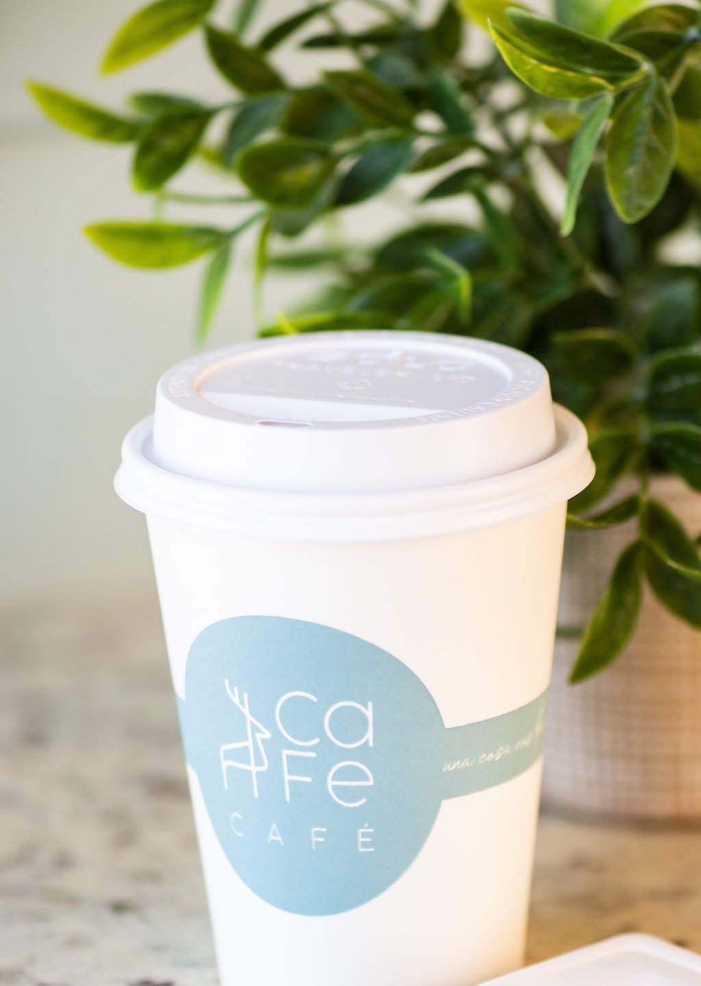 Latte Caliente Chico