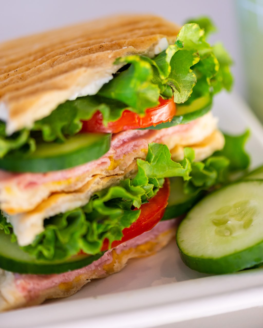 Panini Light
