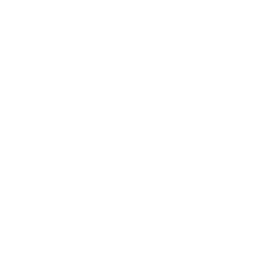RESET