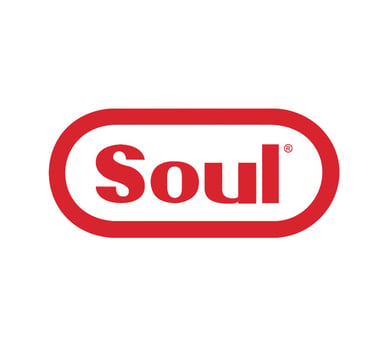 Soul Fried Chicken 