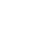 Шамі
